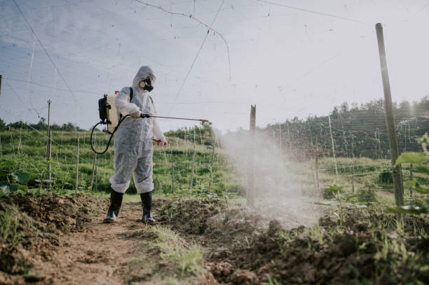 Best Pest Prevention Services  in Stoughton, WI