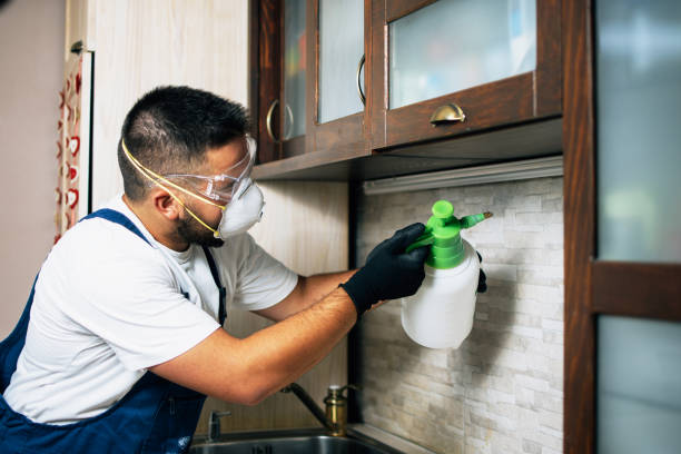 Best Best Pest Control Companies  in Stoughton, WI