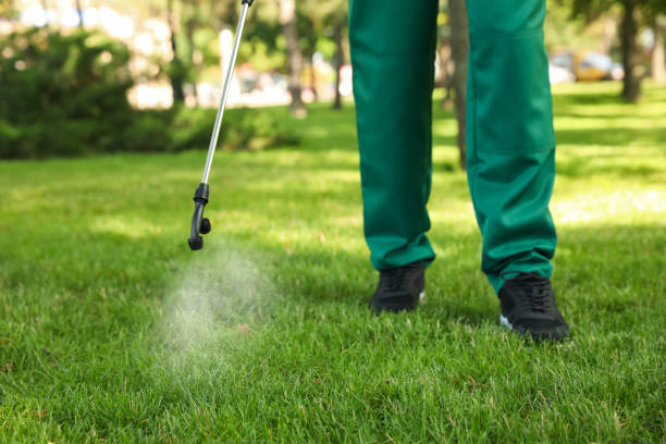 Best Local Pest Control Services  in Stoughton, WI