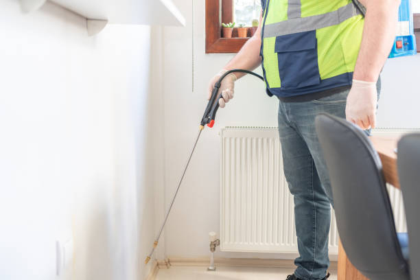 Best Flea Control Services  in Stoughton, WI