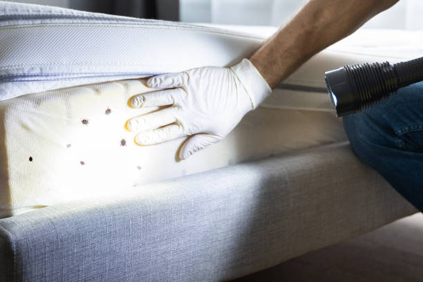 Stoughton, WI Pest Control Company