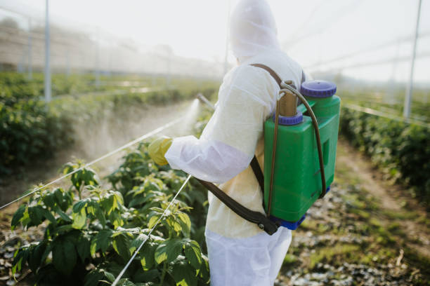  Stoughton, WI Pest Control Pros